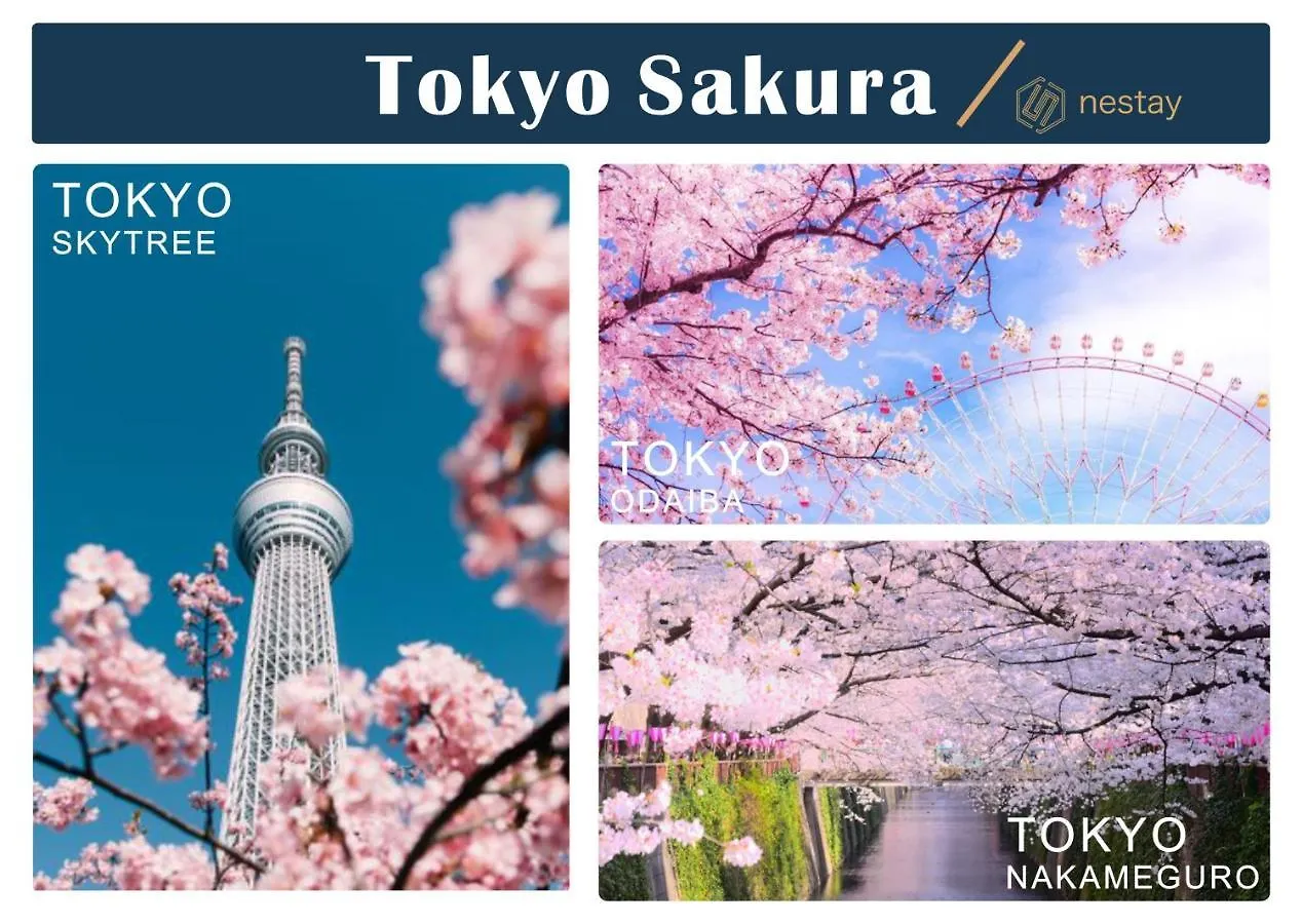 Nestay Inn Tokyo Kagurazaka 2*,  日本