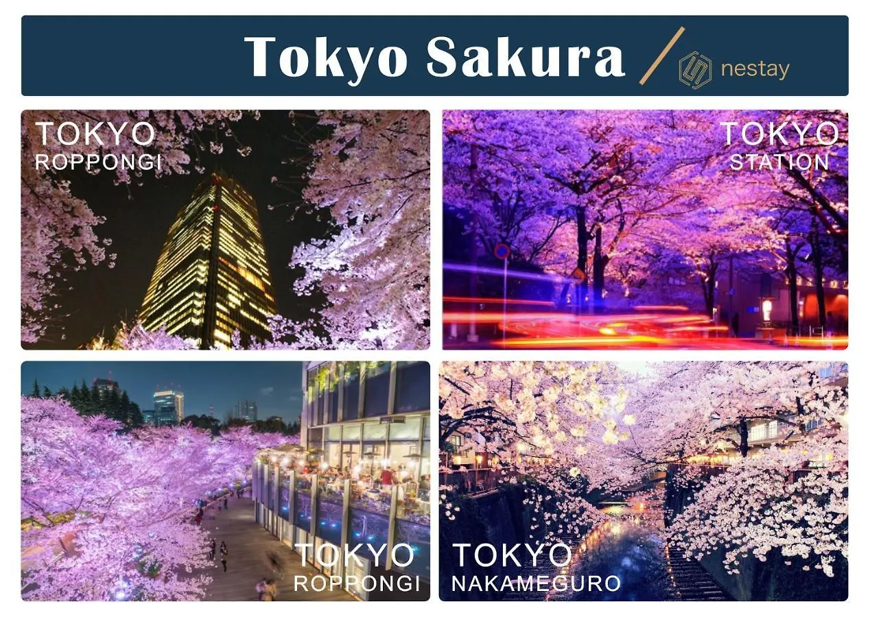Nestay Inn Tokyo Kagurazaka Japan